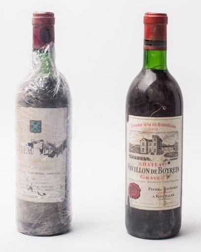 2 1 Ch vertus Ht Médoc 1982 + 1 pavillon...