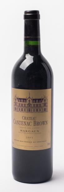 6 Ch cantenac brown 1995