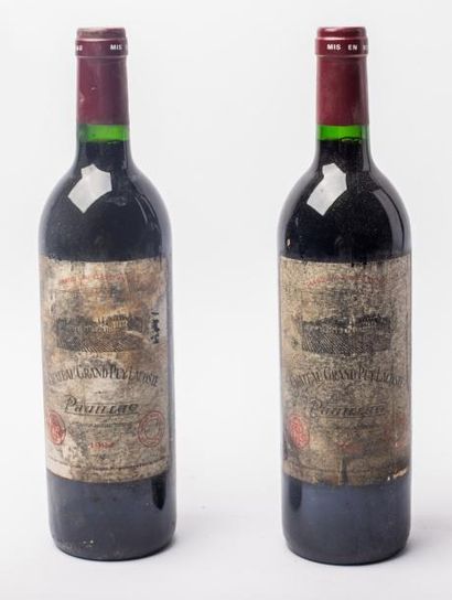2 Ch grand puy lacoste 1994 ds le goulot...