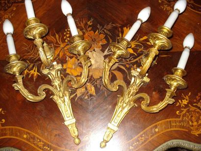 Paire d'appliques en bronze ciselé et doré...