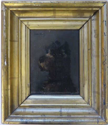 Jules CHARDIGNY, 1842-1892
Portrait de chien...