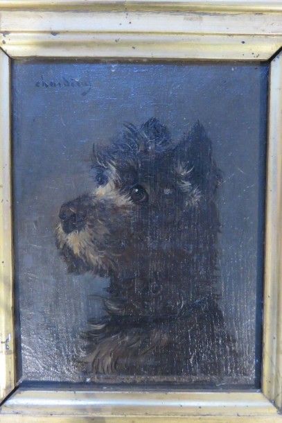 Jules CHARDIGNY, 1842-1892
Portrait de chien...