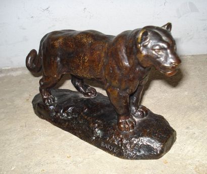 D'après Antoine Louis BARYE
Lionne d'Algérie...