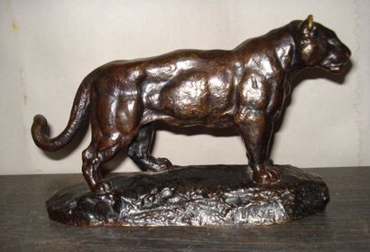 D'après Antoine Louis BARYE
Lionne d'Algérie...