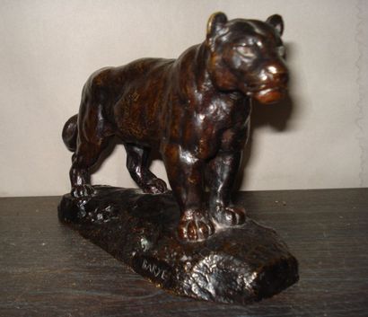 D'après Antoine Louis BARYE
Lionne d'Algérie...