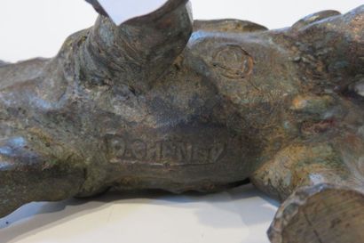 Pierre CHENET, XXe-XXIe siècle
Rhinocéros...