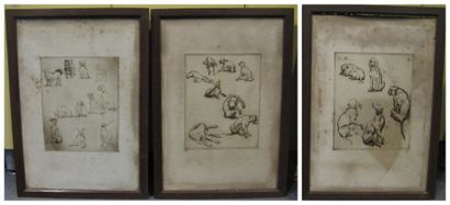 Paul RENOUARD, 1845-1924
Etudes de chiens...