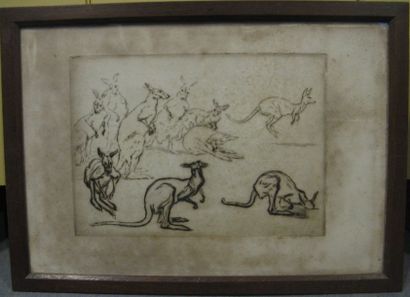 Paul RENOUARD, 1845-1924
Etudes de kangourous...