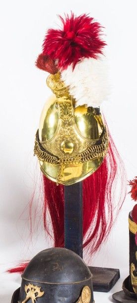 Casque de trompette de dragon modèle 1825,...