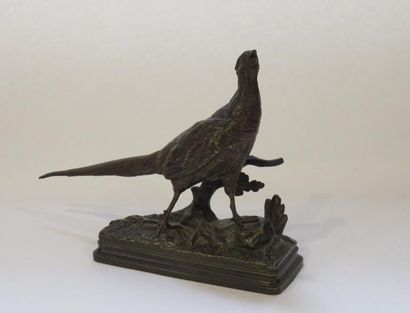 D'après DUBUCAND
Poule faisane Bronze patiné...