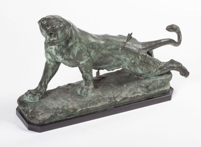 Charles VALTON, 1851-1918
Lionne blessée
Important...
