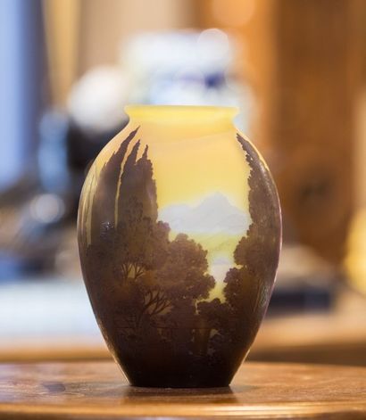 Emile GALLÉ
Vase en verre multicouche à décor...