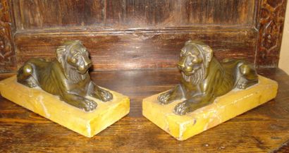 Paire de lions en bronze ciselé et patiné...