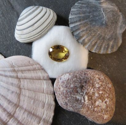 Citrine de taille ovale pesant 6.30 cts
13.30...