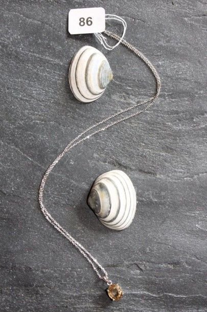 Pendentif et chaîne maille forçat en or gris...