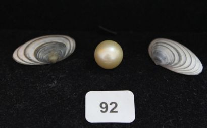 Perle de culture champagne.
Diam. 8.5/9 ...