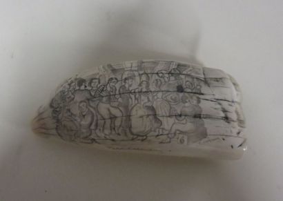 Scrimshaw
Dent de cachalot polie et gravée...
