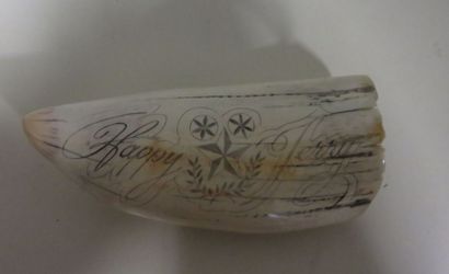 Scrimshaw
Dent de cachalot polie et gravée...