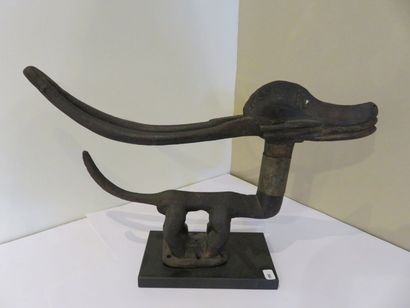 SOMMET DE CASQUE ANTILOPE les cornes allongées.
Bois...