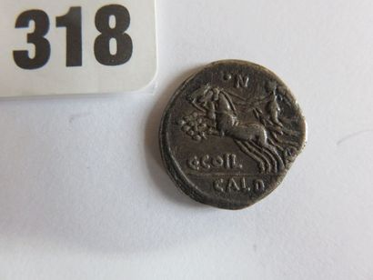 Monnaies - République romaine - Coelia (Caius...
