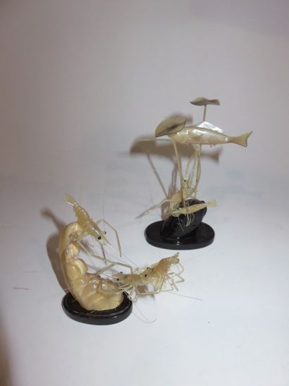 Trois crevettes sur une vague - Deux crevettes,...