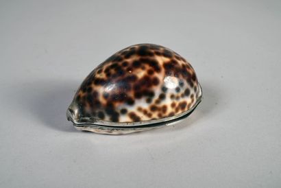Coquillage porcelaine tigrée à monture en...