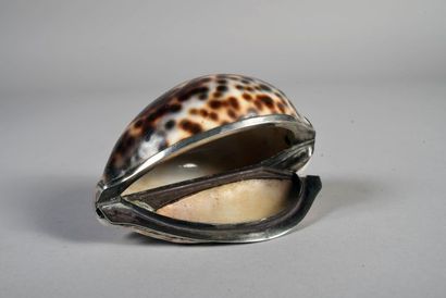 Coquillage porcelaine tigrée à monture en...