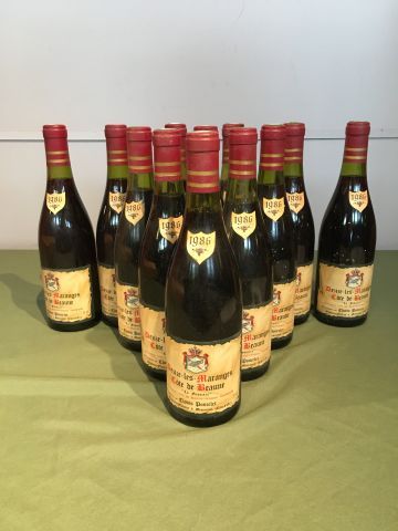 12 bouteilles Dezize les Maranges Côtes de...