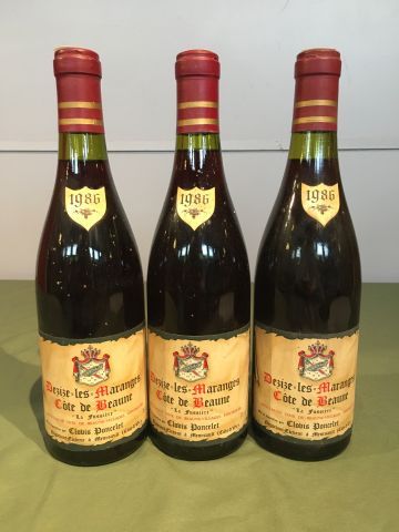 3 bouteilles Dezize les Maranges Côtes de...