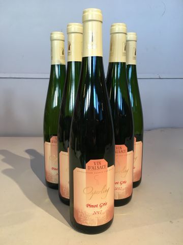 6 bouteilles Pinot Gris 2017 Domaine Osp...