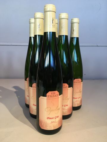 6 bouteilles Pinot Gris 2017 Domaine Osp...