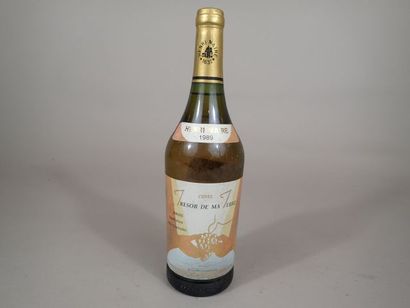 1 bouteille Arbois Trésor de ma Terre 1989...