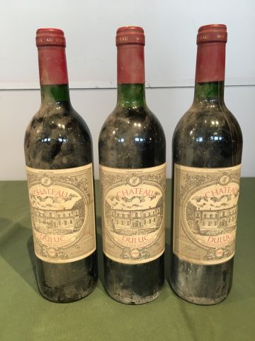 3 bouteilles Château Duluc 1988 Saint Julien...