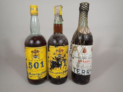 2 bouteilles Brandy 501 Carlos y Javier de...