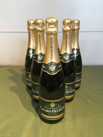 6 bouteilles Champagne Canard Duchêne br...