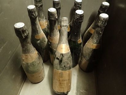 10 bouteilles de vin Mousseux Blanc de Blancs...
