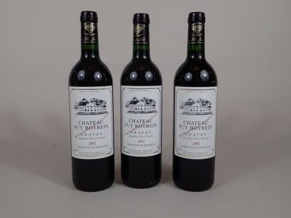 3 bouteilles Château Puy Boyrein 2002 Gr...