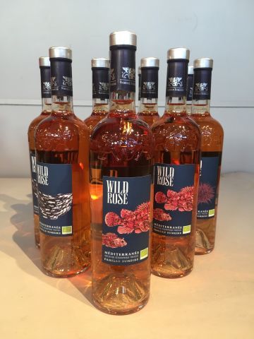 12 bouteilles Côte de Provence The Wild Rosé...