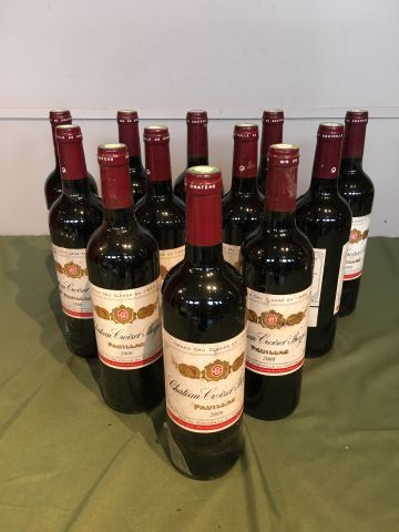 12 bouteilles Château Croizet Bages 2009...