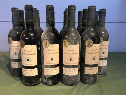 16 bouteilles Saint Chinian 2000 Domaine...