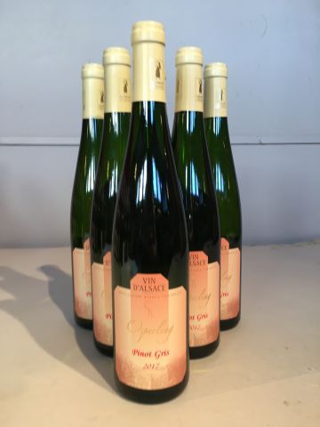 6 bouteilles Pinot Gris 2017 Domaine Osp...