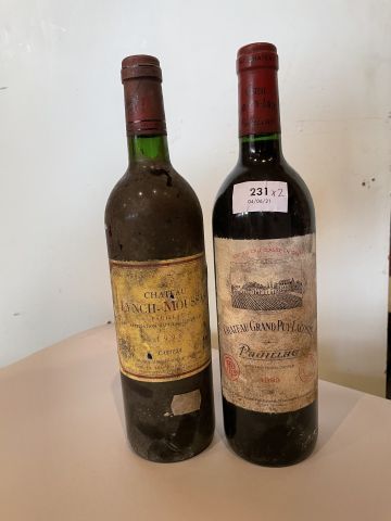 1 bouteille : Château Grand Puy Lacoste 1993...