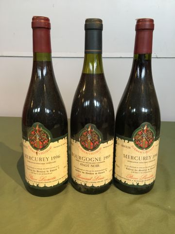 1 bouteille : Bourgogne Pinot noir 1989 Bernard...