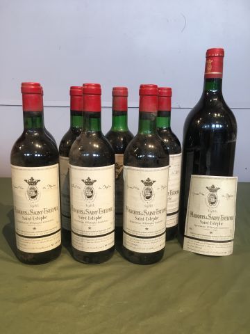 5 bouteilles : Marquis de Saint Estèphe 1981,...