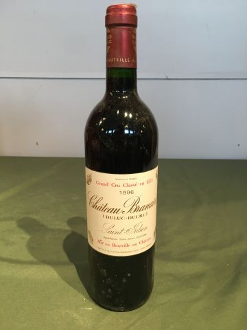 1 bouteille Château Branaire Ducru 1996 Saint...