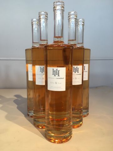 6 magnums Domaine de Hondrat Cuvée Elle et...