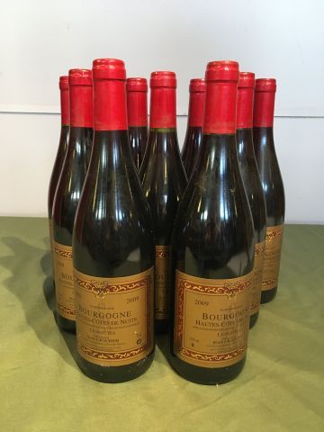 9 bouteilles Bourgogne Hautes Côtes de Nuits...