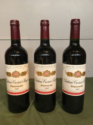 3 bouteilles Château Croizet Bages 2009 Pauillac,...