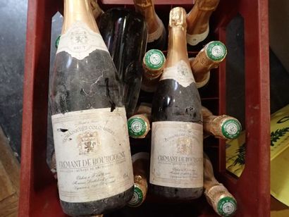 15 bouteilles Crémant de Bourgogne Brut Domaine...