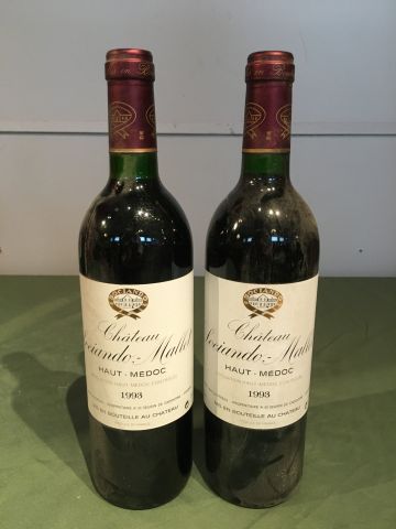 2 bouteilles Château Sociando Mallet 1993...